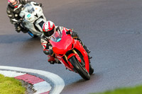 PJ-Motorsport-Photography-2020;anglesey;brands-hatch;cadwell-park;croft;donington-park;enduro-digital-images;event-digital-images;eventdigitalimages;mallory;no-limits;oulton-park;peter-wileman-photography;racing-digital-images;silverstone;snetterton;trackday-digital-images;trackday-photos;vmcc-banbury-run;welsh-2-day-enduro